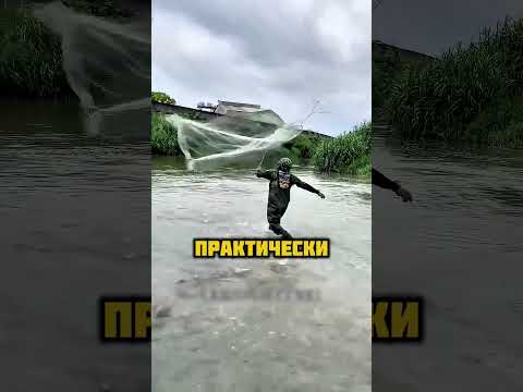 Хитрый способ ловли рыбы