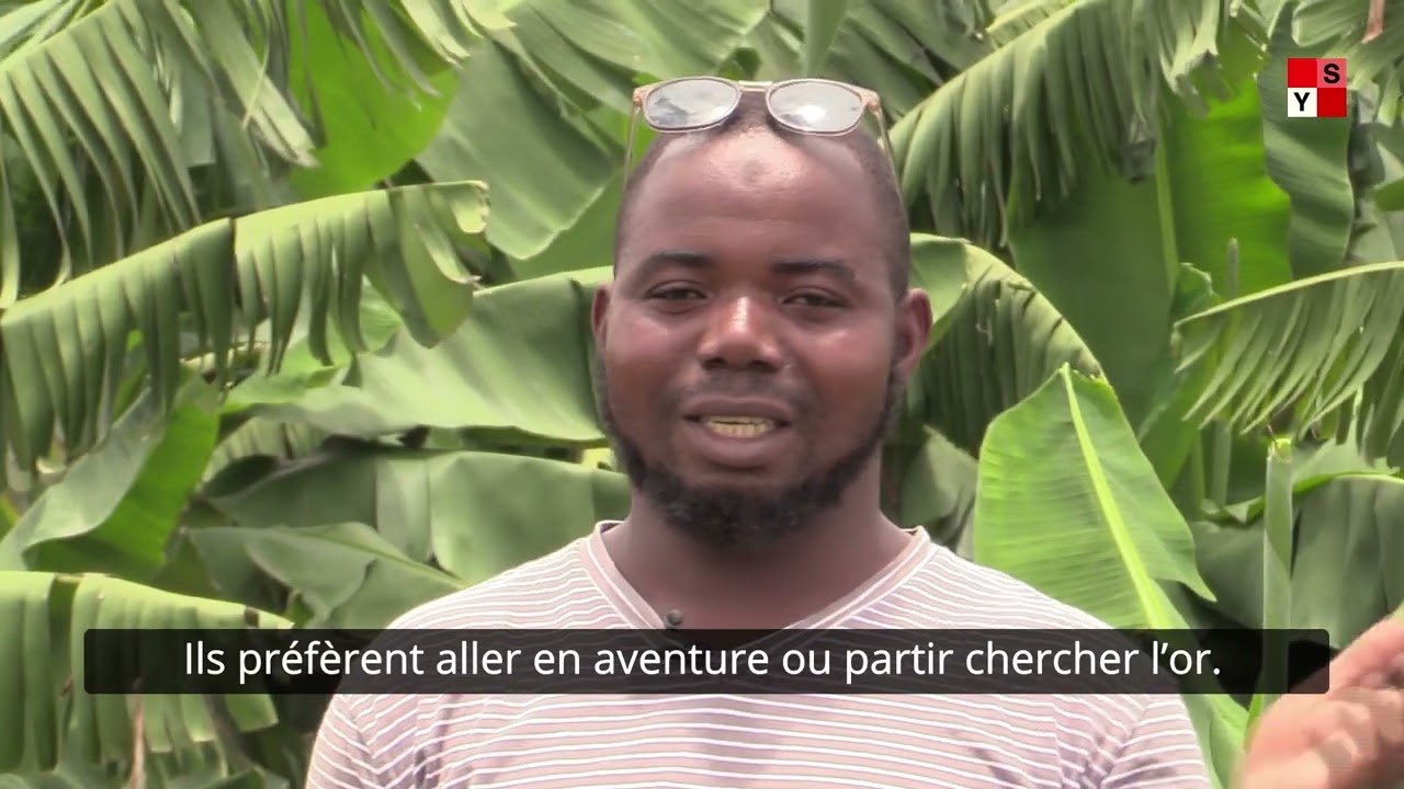 Burkina: A Bagré, Issouf Dabré et sa bananeraie aux œufs d'or