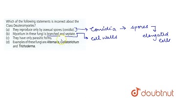 Which of the following statements is incorrect about the class Deuteromycetes? | 11 | BIOLOGICAL...