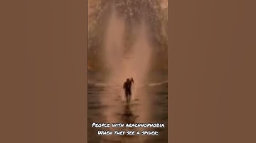 POV: You Have Arachnophobia #shorts