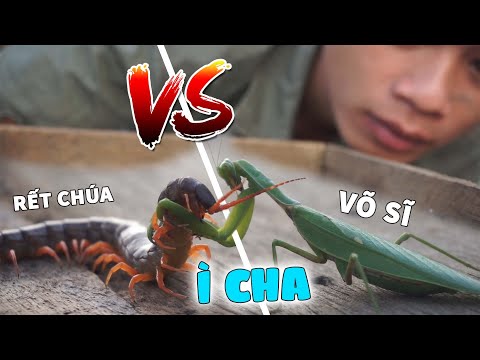 Video: Động cơ dân gian của sự sáng tạo 