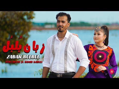 ZABAN BULBUL Zeba Noori Ft Hamid Kabuli Official Video زبان ب لب ل آهنگ جدید 