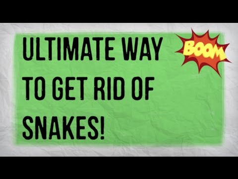 Video: Zbavte svou zahradu hadů: Tipy, jak se zbavit hadů