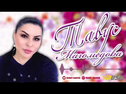 Тавус Магомедова - Высота любви | Аварские Песни 2019 | Official Audio