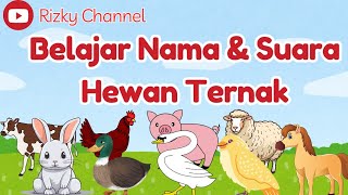 Ayo Belajar Nama dan Suara Hewan Ternak ||Suara hewan|| Bahasa Indonesia || Bareng Rizky