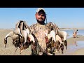 Duck shooting | Murghabi ka shikar | Duck hunting in pakistan 2020