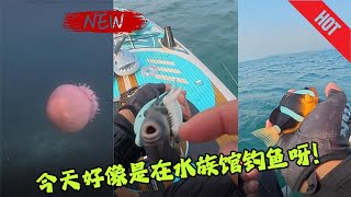 【陈师傅路亚】今天好像是在水族馆钓鱼，好多品种都露脸打卡了。#钓鱼  #钓鱼人  #海钓 #fishing   #fishinglife  #钓鱼生活 #户外 #vlog #funny #抓鱼