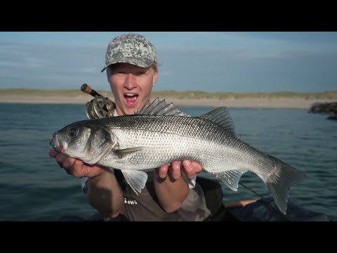 Video: Vinterfiskeri Efter Løgn