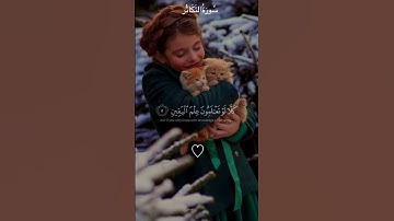 #سورة_التكاثر بصوت #مشارى_راشد_العفاسى #راحة_نفسية #القرآن_الكريم #أجر_لي_ولكم #qurantilawat #اطمأن