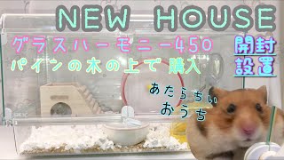 ハムスター動画【商品紹介】グラスハーモニー450 開封と設置していく エサやり風景あり（新しい床材）パインの木の上で