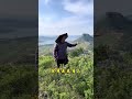 Revolutionizing Rural Life: Yimeng Mountain's Gaolauntie's Creator Support Program Unveile
