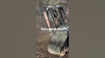 Tree and brush clearing in Spring Hill, TN