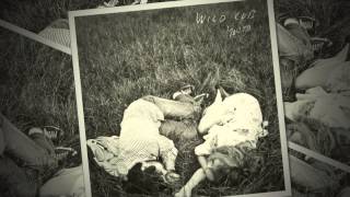 Video thumbnail of "Wild Cub - Windows"