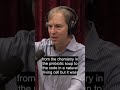 Evolutionary science has a massive unexplained gap: how non-living chemistry becomes living cells
