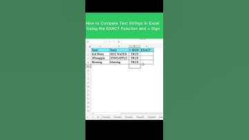 How to Compare Text Strings in Excel Using the EXACT Function and = Sign #shorts