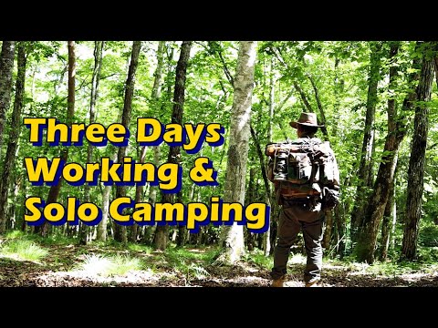 3 Days Working Solo Camping / ワーキングソロキャンプ3日間
