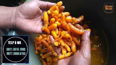 mesin pengupas kunir   mesin pengupas kunyit kunir jahe pembersih kunyit lengkuas empon empon