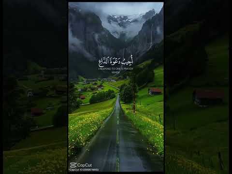 القران الكريم