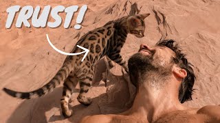 How to Gain ANY Cat´s Trust / Love by Albert & Mia, the Adventure Bengal Cat 21,883 views 2 years ago 7 minutes, 26 seconds