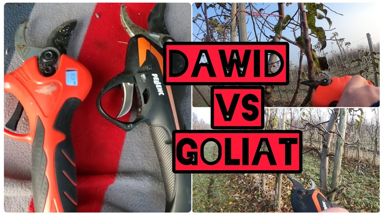 Z Sadu 5 Grudnia 2024. Pelenc C35 vs Swansoft 8616 Dawid vs Goliat #sadownictwo #pelenc #swansoft