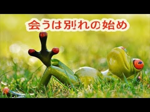 ことわざ 会うは別れの始め Youtube