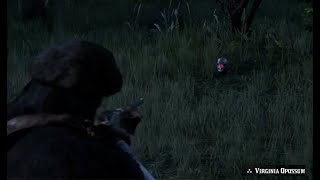 3 Star Perfect Carcass - Virginia Opossum Best Possum Location