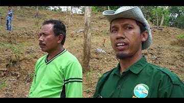 RHL Rawan Bencana BPDASHL Pemali Jratun