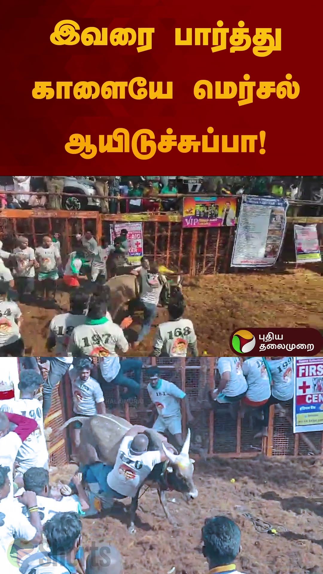 இவரை பார்த்து காளையே மெர்சல் ஆயிடுச்சுப்பா! | #jallikattu2025 | #madurai | #shorts