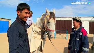 видео: Ауылым хабары, Маңғыстау облысы, Маңғыстау ауданы, Ақшымырау ауылы #Ауылым_Хабары картинка: Ауылым хабары, Маңғыстау облысы, Маңғыстау ауданы, Ақшымырау ауылы #Ауылым_Хабары