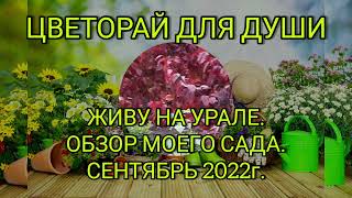 ПРО САД. ЖИВУ НА УРАЛЕ. СЕНТЯБРЬ 2022г.