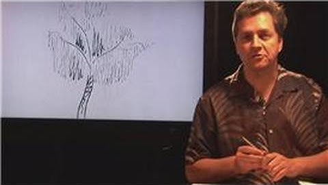 Beginner Drawing Lessons : How to Draw A Willow Tree