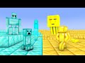 Monster School: minecraft animation