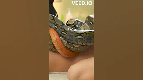 Dive Into the World of Female Demons #occult #facts #lilith  #religion  #witchcraft