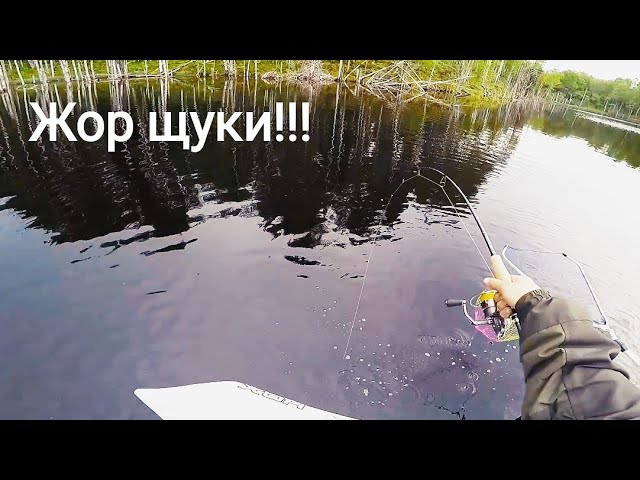 Фото Жени Пугиной В Интернете Фото Жени Пугиной В Интернете