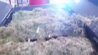 Maize Corn Silage Beet Pulp Tmr  Dmr Compact Silage Loading