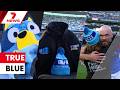 Doing it for Neale: Big Freeze raises millions as 10 famous faces take the icy plunge | 7NEWS