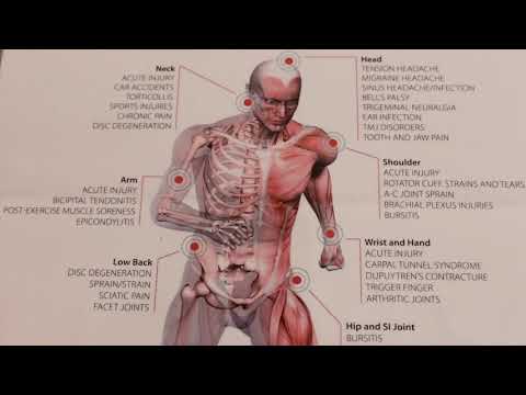 Chiropractor in Ealing | Northfields Chiropractic