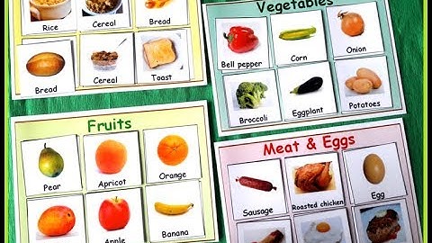 Sorting by Color Activity Video