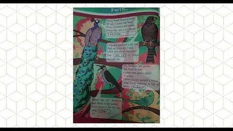 Std 3 Evs  Ch 8 Part 1