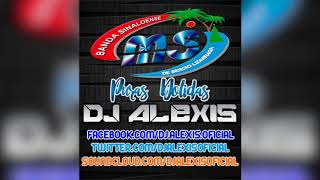 Banda MS ( Puras Dolidas Mix ) - DJ Alexis