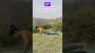 Upward Facing Dog (Urdhva Mukha Svanasana) | Rise & Energize