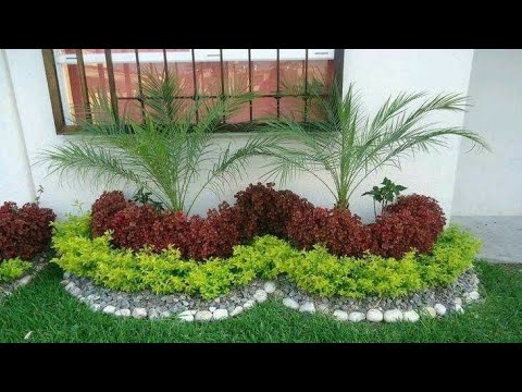 11 ideias para montar seu Jardim em casa - Entenda Antes!