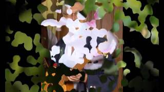 peter sommer - holiday und sonnenschein