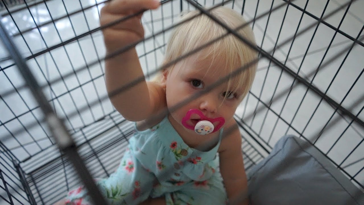 WE BOUGHT A DOG! YouTube