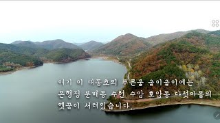 함평군#대동댐  #910만톤 담수량 총면적 백20여만 제곱미터#고향 그리워  하다# screenshot 4