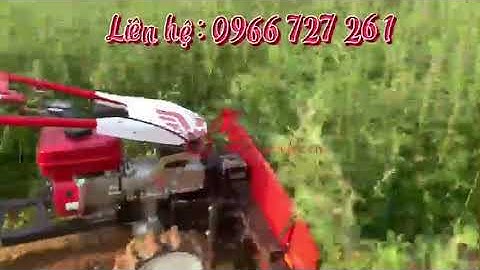 Máy cắt cỏ voi xếp dãy, máy cắt cây lộc vừng, cây ích mẫu Kawasaki chạy xăng đề nổ