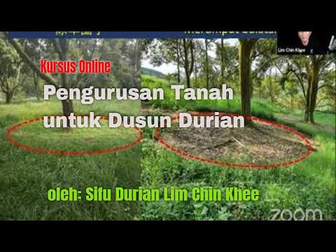 Pengurusan Tanah untuk Dusun Durian - Sifu Lim Chin Khee