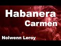 Habanera, Carmen - French Lyrics + English Translation - Nolwenn LeroyHabanera EN