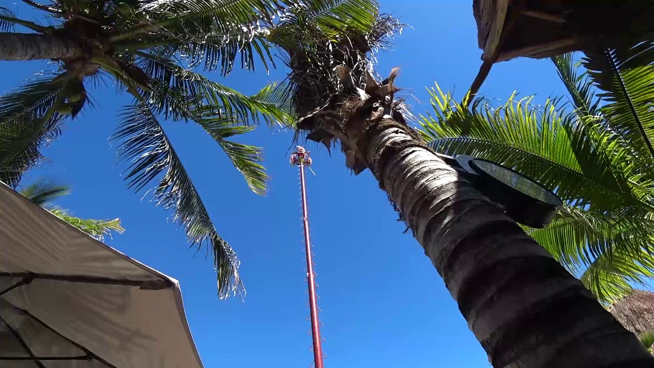 NCL Pearl VLOG Day 8 Costa Maya Dec  2017