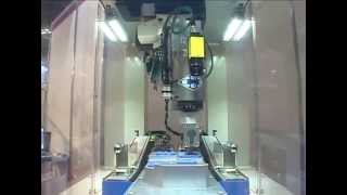 DENSO Robotics - Vision-guided robot packages fuses